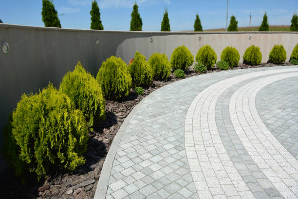 Best Local Driveway Pavers  in San Pablo, NM